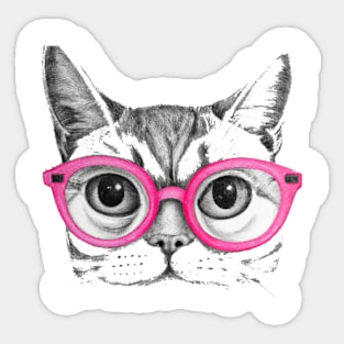 CURIOUS CAT Sticker